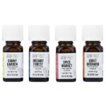 Journey To Diffusion Kit, эфирные масла, 4 флакона по 7,4 мл (0,25 жидк. унц.) — Aura Cacia