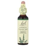 Original Flower Remedies, репейник, 20 мл (0,7 жидк. унц.) — Bach