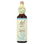 Original Flower Remedies, бук, 20 мл (0,7 жидк. унц.) — Bach