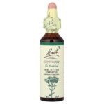 Original Flower Remedies, золототысячник, 20 мл (0,7 жидк. унц.) — Bach