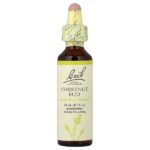 Original Flower Remedies, каштановые бутоны, 20 мл (0,7 жидк. унц.) — Bach