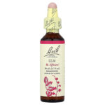 Original Flower Remedies, вяз, 20 мл (0,7 жидк. унции) — Bach