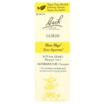 Original Flower Remedies, мед, 10 мл (0,35 жидк. унции) — Bach
