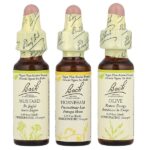 Original Flower Remedies, набор для поддержания психической энергии, эмоциональные взлеты и падения, 3 пипетки, по 10 мл (0,35 жидк. унц.) — Bach