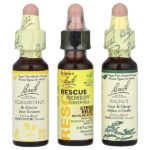 Original Flower Remedies, дорожный набор, готовый к употреблению, 3 пипетки, 10 мл (0,35 жидк. унц.) — Bach