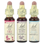 Original Flower Remedies, набор для мотивации, Get It Done, 3 пипетки, 10 мл (0,35 жидк. унц.) — Bach