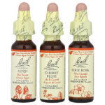 Original Flower Remedies, набор для храбрости, Fear No More, 3 пипетки, 10 мл (0,35 жидк. унц.) — Bach
