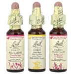 Original Flower Remedies, Comfort Kit, Hope & Joy, 3 пипетки, 10 мл (0,35 жидк. унц.) — Bach