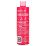 Good Hair Day Every Day, шампунь для ежедневного ухода, для всех типов волос, Berry Bliss, 355 мл (12 жидк. унц.) — b.fresh — изображение 2