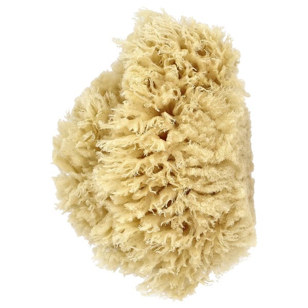 bud01401_v_22.jpg Морская губка из шерсти премиального качества, 1 шт. — Baby Buddy