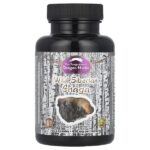дикая сибирская чага Chaga™, 450 мг, 100 капсул — Dragon Herbs