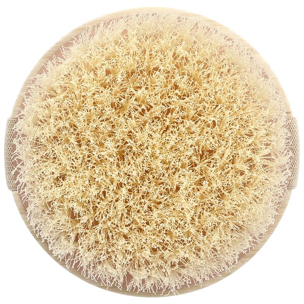 ect07425_v_62.jpg щетка для сухого массажа, 1 шт. — EcoTools