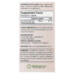 Ferritin +®, 30 веганских капсул с отсроченным высвобождением (20 мг в 1 капсуле) — Flora — изображение 2