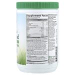 Raw Organic Perfect Food®, зелёный суперфуд, порошок из сока из зелени, классический вкус, 414 г (14,6 унции) — Garden of Life — изображение 2