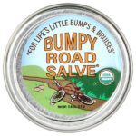 Sierra Bees™, Bumpy Road Salve®, мазь от ушибов, 17 г (0,6 унции) — Mild By Nature