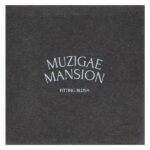Fit Blush, оттенок 01 нечетный, 1 шт. — Muzigae Mansion — изображение 2