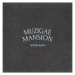 Fit Blush, оттенок 03, 1 шт. — Muzigae Mansion — изображение 2