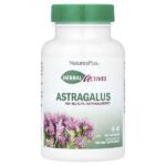 Herbal Actives, астрагал, 450 мг, 60 капсул — NaturesPlus
