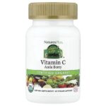 Source of Life Garden®, витамин C, ягоды амлы, 60 веганских капсул — NaturesPlus