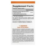 CurcuminRich, Theracurmin — Natural Factors — изображение 2