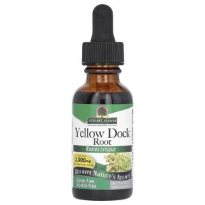 Yellow Dock Root, без спирта, 500 мг, 30 мл (1 жидк. Унция) — Nature's Answer