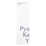 Пенка для глубокого очищения пор, низкий уровень pH, 100 мл (3,4 жидк. унции) — Pyunkang Yul — изображение 2