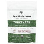 Индейка, порошок экстракта органических грибов, 45 г (1,59 унции) — Real Mushrooms