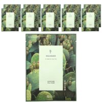 Halloasis, тканевая маска Moisture Hill, 10 листовых масок, 25 мл (0,84 жидк. унц.) — SNP