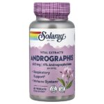 Vital Extracts, андрографис, 60 капсул на растительной основе — Solaray