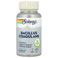 бактерии бациллус коагуланс (Bacillus coagulans), 60 капсул VegCap — Solaray