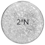 2aN, Gleaming Tension Pact, маска для наращивания мышечной массы, оттенок 17, слоновая кость, 13 г (0,45 унции)