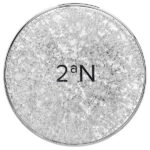 2aN, Gleaming Tension Pact, тон 27, янтарь, 13 г (0,45 унции)