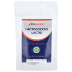 лактококк (Lactococcus lactis), 100 г (3,5 унции) — Vitamatic