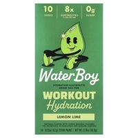 Workout Hydration, смесь для приготовления электролитического напитка, лимон и лайм, 10 пакетиков-стиков по 6,2 г (0,22 унции) — Waterboy