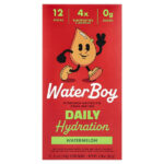 Daily Hydration, смесь для приготовления электролитического напитка, арбуз, 12 пакетиков по 3 г (0,11 унции) — Waterboy