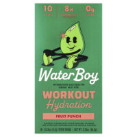 Workout Hydration, смесь для приготовления электролитического напитка, со вкусом фруктового пунша, 10 пакетиков-стиков по 6,5 г (0,23 унции) — Waterboy