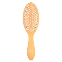 Go Green™, кисть для ухода и блеска с кокосовым маслом, апельсин, 1 шт. — Wet Brush