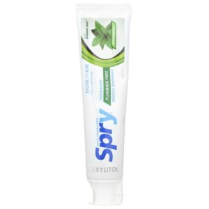 Natural Spry, зубная паста против зубного налета, без фтора, мята, 141 г (5 унций) — Xlear